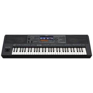 PSR-SX920